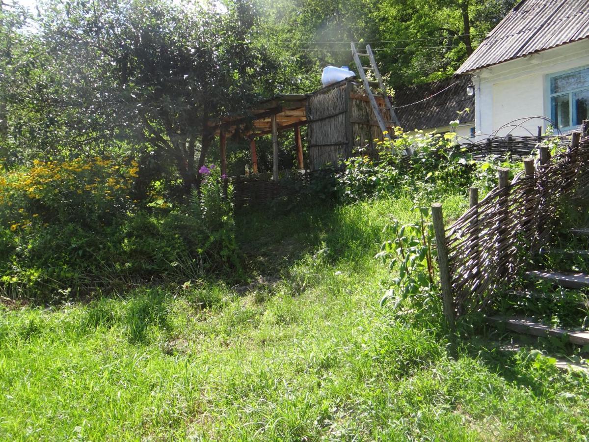 Maliovnytsya Guest House Dybintsy Екстериор снимка