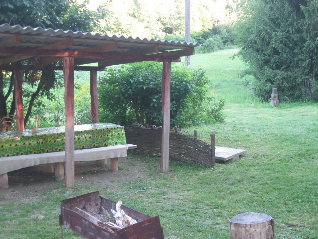 Maliovnytsya Guest House Dybintsy Екстериор снимка