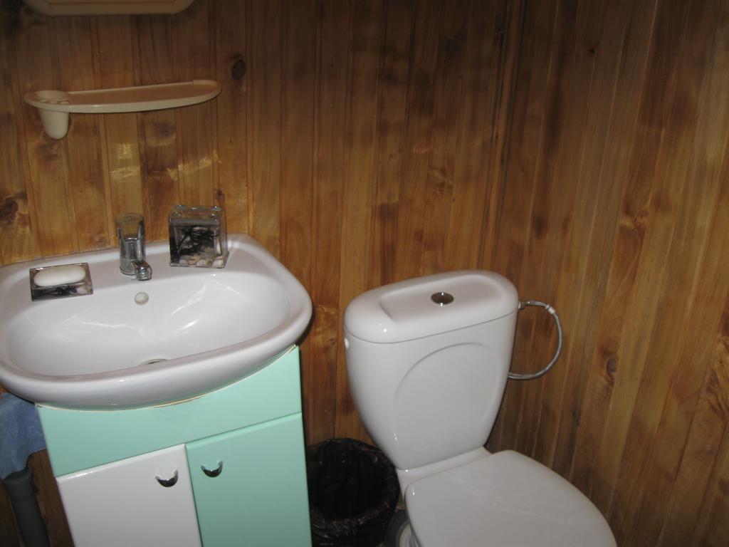 Maliovnytsya Guest House Dybintsy Екстериор снимка