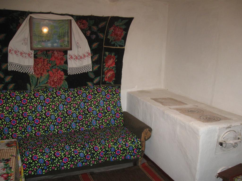Maliovnytsya Guest House Dybintsy Екстериор снимка