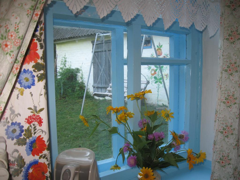 Maliovnytsya Guest House Dybintsy Екстериор снимка
