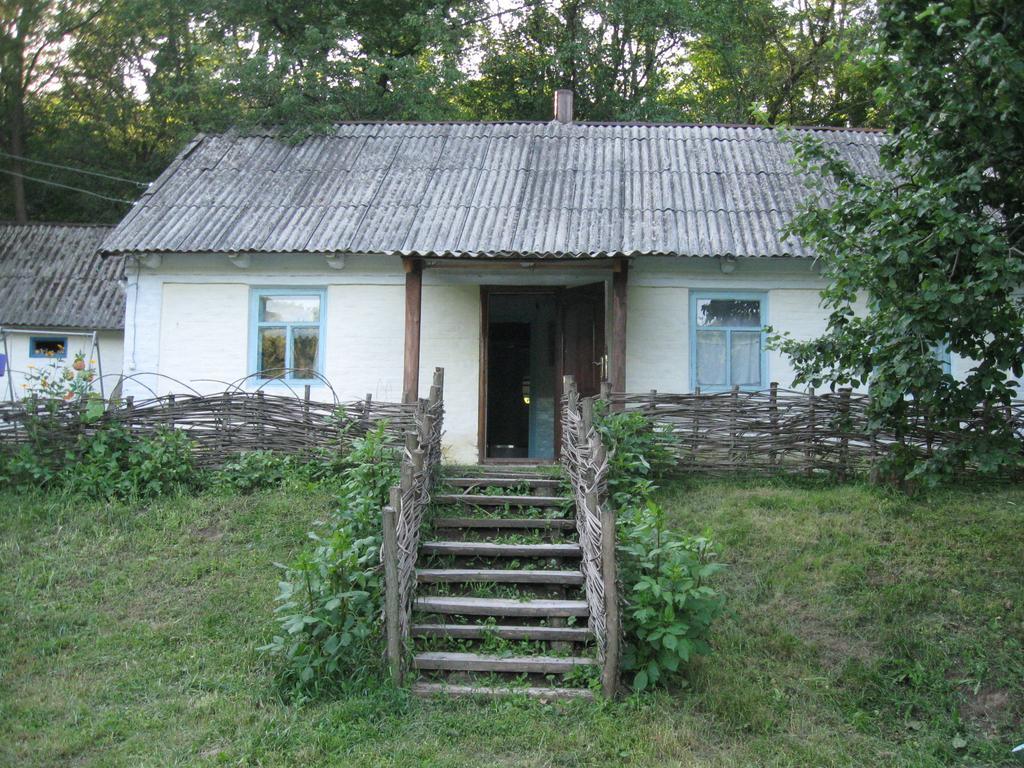 Maliovnytsya Guest House Dybintsy Екстериор снимка