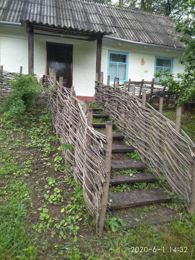 Maliovnytsya Guest House Dybintsy Екстериор снимка